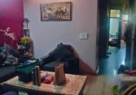Spacious Property | Modern Design & Comfort